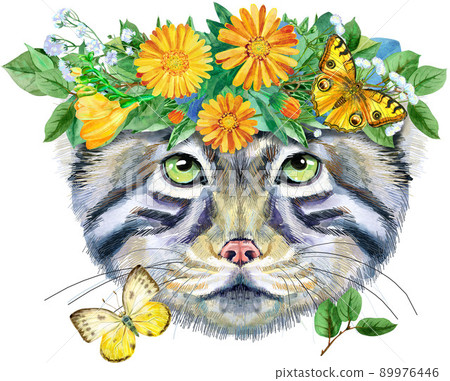 Watercolor portrait of a Manul Cat in a flower wreath on white background 89976446