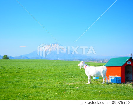 Superb view of Hokkaido Mt. Yotei and red goat hut 89976500