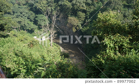 森林中的巴格馬蒂河 [尼泊爾加德滿都] 89977002