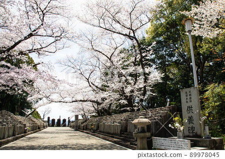 It is a former army graveyard in Hijiyama Park, a famous cherry blossom spot. We mourn the war dead from the Satsuma Rebellion to before World War II. Hiroshima Prefecture It is a former army graveyard in Hijiyama Park, a famous cherry blossom spot. We mourn the war dead from the Satsuma Rebellion to before World War II. Hiroshima Prefecture 89978045