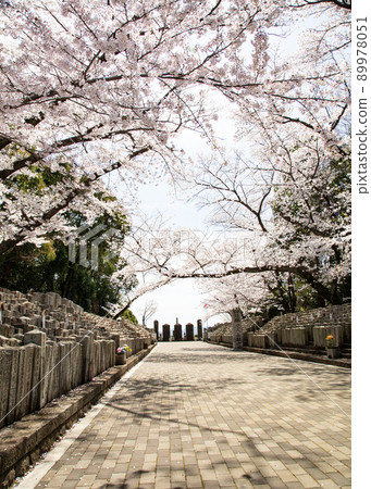 It is a former army graveyard in Hijiyama Park, a famous cherry blossom spot. We mourn the war dead from the Satsuma Rebellion to before World War II. Hiroshima Prefecture 89978051