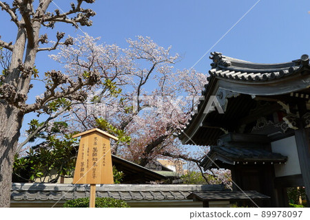 Yakushiin Iouji Temple Sagami Yakushi Nyorai 21 Sacred Ground 89978097
