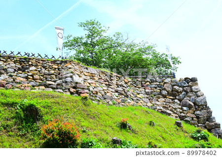 Hamamatsu Castle Continued 100 Fine Castles in Japan 89978402