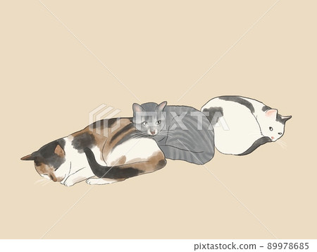 Sticking cat 89978685