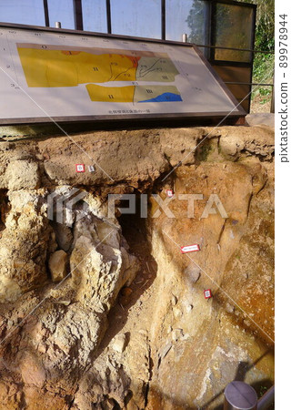 Tanna Fault Park, a national natural monument, the Tanna Fault 89978944