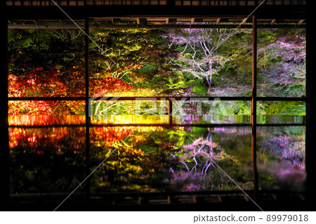 Rurikoin Autumn 2021 Night Special Visit Lighted up from the 2nd floor Shoin Rurikoin Autumn 2021 Night Special Visit Lighted up from the 2nd floor Shoin 89979018