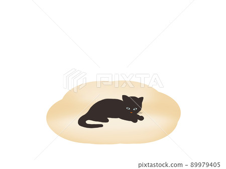 Black cat and sofa 89979405