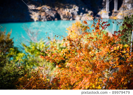 Autumn leaves lake Autumn leaves lake 89979479