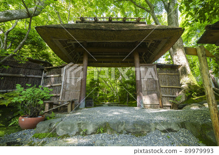 京都Giouji Sanmon(2022年,新鮮的綠色季節) 京都Giouji Sanmon(2022年,新鮮的綠色季節) 89979993