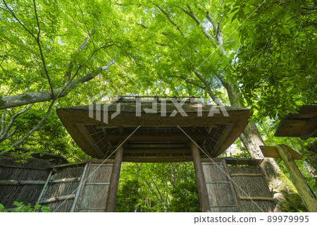 京都Giouji Sanmon(2022年,新鮮的綠色季節) 京都Giouji Sanmon(2022年,新鮮的綠色季節) 89979995