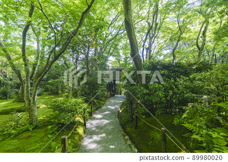 京都Giouji苔蘚花園方法(2022新鮮綠色季節) 京都Giouji苔蘚花園方法(2022新鮮綠色季節) 89980020