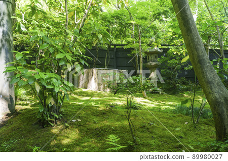 京都豪吉苔蘚園（2022新鮮綠色季節） 89980027