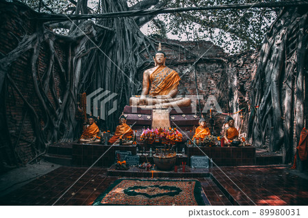 Wat Sai temple ruin covered by banyan tree roots, in Sing Buri Thailand Wat Sai temple ruin covered by banyan tree roots, in Sing Buri Thailand 89980031