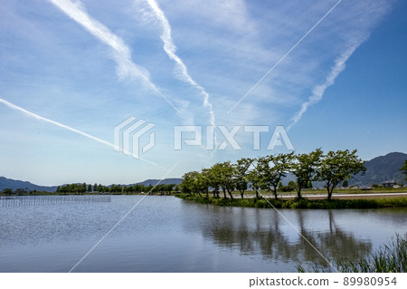 滋賀縣草津市平湖春天的湖邊散步 滋賀縣草津市平湖春天的湖邊散步 89980954