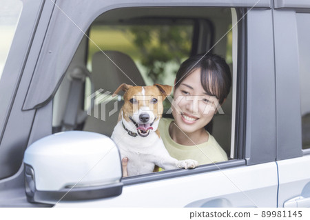 Go out by car with your dog 89981145