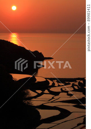 Beautiful scenery of terraced rice fields in Hamanoura dyed orange in the sunset of the Genkai Sea (Genkai Town, Saga Prefecture) Beautiful scenery of terraced rice fields in Hamanoura dyed orange in the sunset of the Genkai Sea (Genkai Town, Saga Prefecture) 89981411