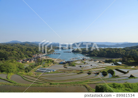 Scenery of Oura Rice Terraces in Karatsu City, Saga Prefecture, overlooking Imari Bay 89981534