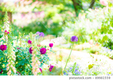 Akao Forest Akao Forest 89981559
