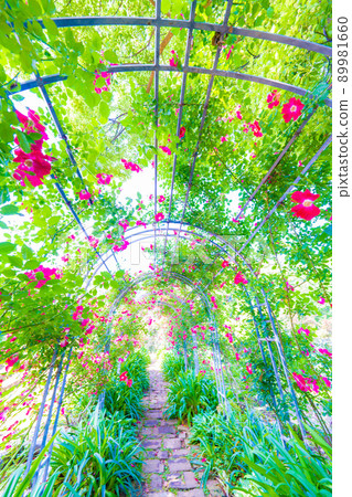 Akao Forest Akao Forest 89981660