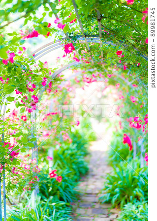 Akao Forest Akao Forest 89981745