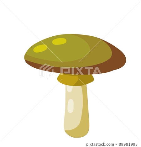 Mushroom with a brown cap. Mushroom with a brown cap. 89981995