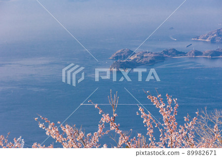 瀨戶內島波海道/岩木島關前山 3,000 株櫻花 89982671