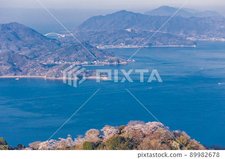 Setouchi Shimanami Kaido / Iwagi Island Sekizenyama 3,000 cherry blossoms 89982678