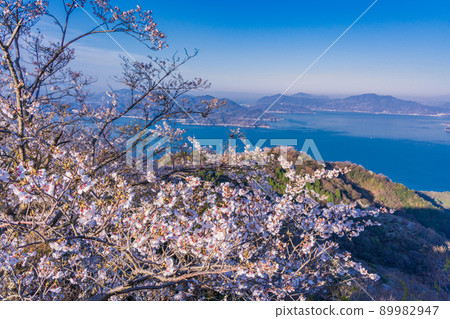 Setouchi Shimanami Kaido / Iwagi Island Sekizenyama 3,000 cherry blossoms 89982947