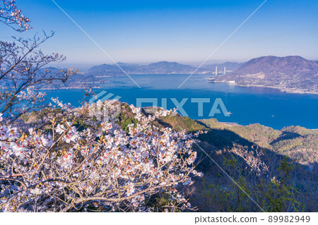 Setouchi Shimanami Kaido / Iwagi Island Sekizenyama 3,000 cherry blossoms Setouchi Shimanami Kaido / Iwagi Island Sekizenyama 3,000 cherry blossoms 89982949