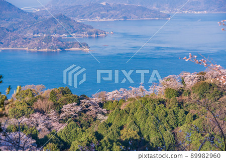 瀨戶內島波海道/岩木島關前山 3,000 株櫻花 瀨戶內島波海道/岩木島關前山 3,000 株櫻花 89982960