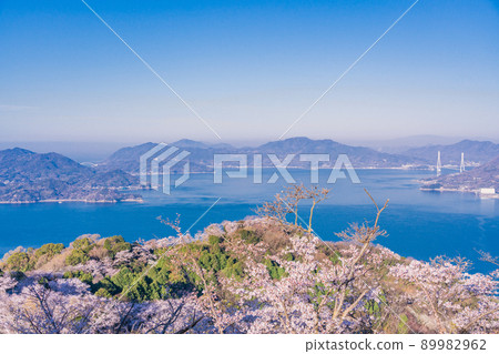 瀨戶內島波海道/岩木島關前山 3,000 株櫻花 瀨戶內島波海道/岩木島關前山 3,000 株櫻花 89982962