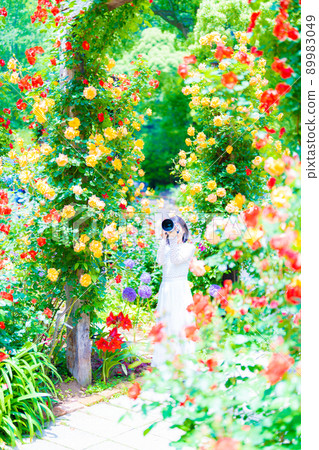 Akao Forest Akao Forest 89983049