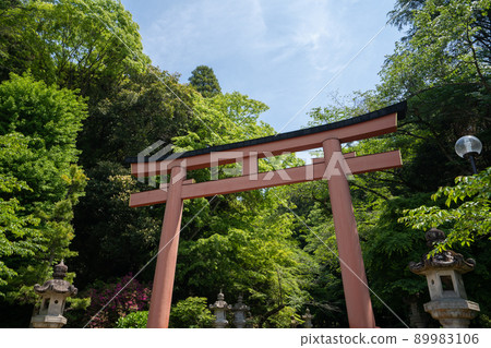 香取神宮 <千葉縣香取市 / 4月> 香取神宮 <千葉縣香取市 / 4月> 89983106