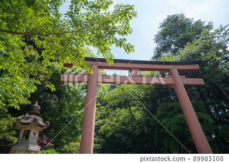 Katori Jingu <Katori City, Chiba Prefecture / April> Katori Jingu <Katori City, Chiba Prefecture / April> 89983108