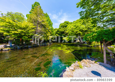 Fuji main shrine Asama Shinsha 89983399