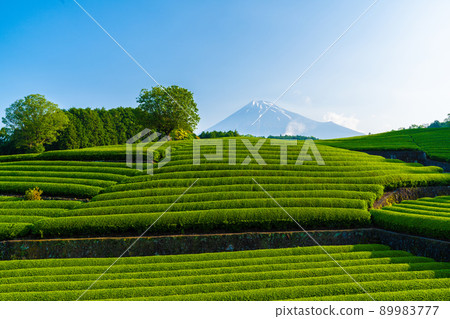 小淵Sa 小淵Sa 89983777