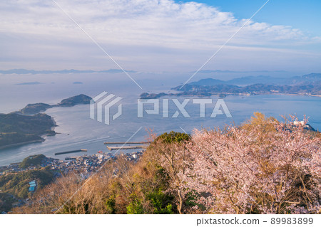 瀨戶內 / 岩木島 關前山 黎明時分的 3,000 株櫻花 89983899