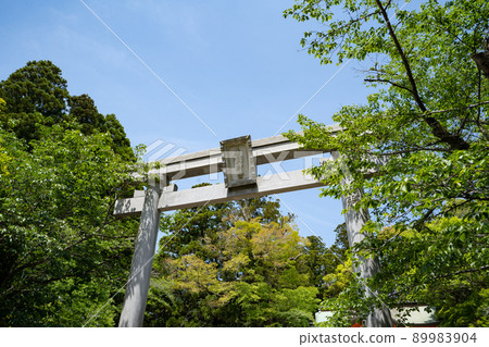 香取神宮<千葉縣香取市/5月> 89983904