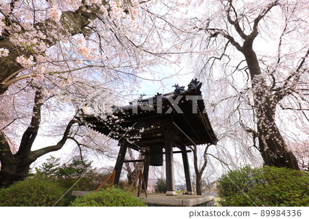 Cherry blossoms at Anyo-ji Temple in Nagano Prefecture Cherry blossoms at Anyo-ji Temple in Nagano Prefecture 89984336
