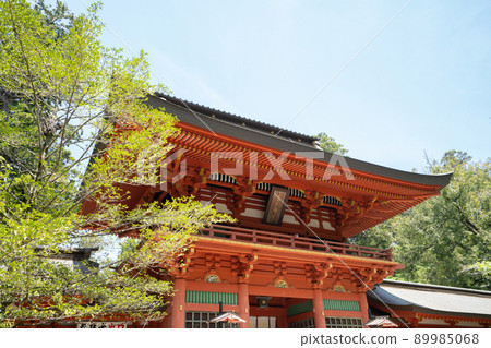 Katori Jingu Tower Gate <Katori City, Chiba Prefecture / May> 89985068