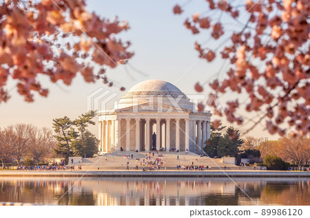 Cherry Blossom Festival in Washington, D.C. in USA 89986120