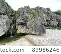 Okinawa coastal rock OKINAWA 89986246