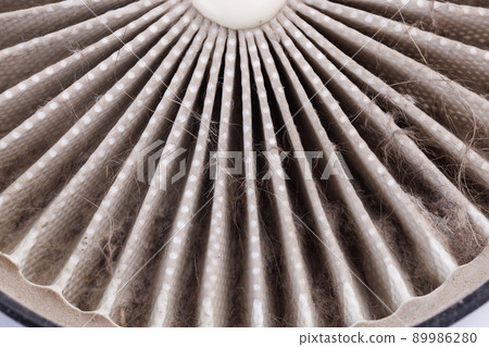 dust, hairs and fur on radial HEPA filter, close-up with selective focus dust, hairs and fur on radial HEPA filter, close-up with selective focus 89986280