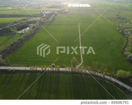 Aerial view on green wheat field in countryside. Field of wheat blowing in the wind on sunset. Young and green Spikelets. Ears of barley crop in nature. Agronomy, industry and food production. Aerial view on green wheat field in countryside. Field of wheat blowing in the wind on sunset. Young and green Spikelets. Ears of barley crop in nature. Agronomy, industry and food production. 89986791