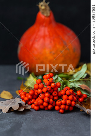 Autumn concept with a pumpkin on a dark background with autumn leaves. celebrating Halloween and Thanksgiving Autumn concept with a pumpkin on a dark background with autumn leaves. celebrating Halloween and Thanksgiving 89987681