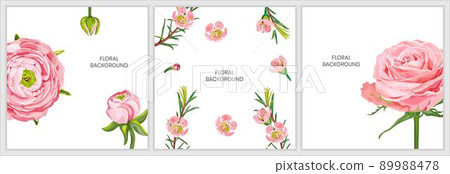 Floral background with pink rose, ranunculus flowers, chamelaucium isolated on a white background. Floral background with pink rose, ranunculus flowers, chamelaucium isolated on a white background. 89988478