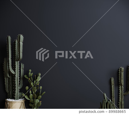 Cactus plant dark background, trendy gray minimal background with cactus plant. 3d rendering 89988665