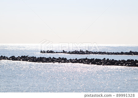 breakwater breakwater 89991328