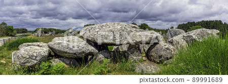 Carnac stones in Carnac, France Carnac stones in Carnac, France 89991689