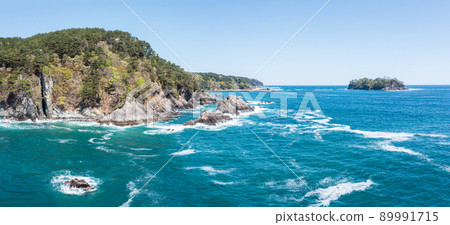 Aerial view "Iwate Prefecture" Miyako City Sakikuwagasaki offshore overlooking the Osawa coast 89991715